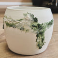 Pepperpot plant pot