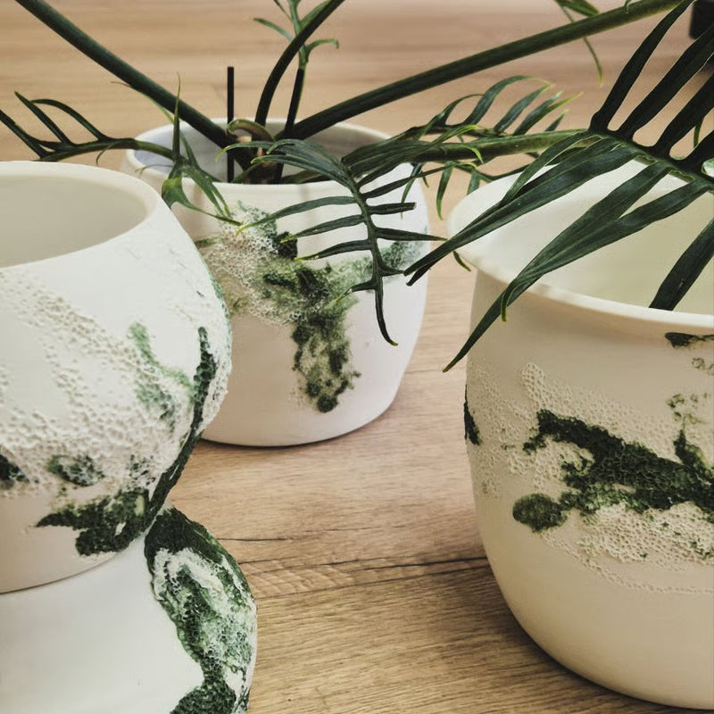 Pepperpot plant pot