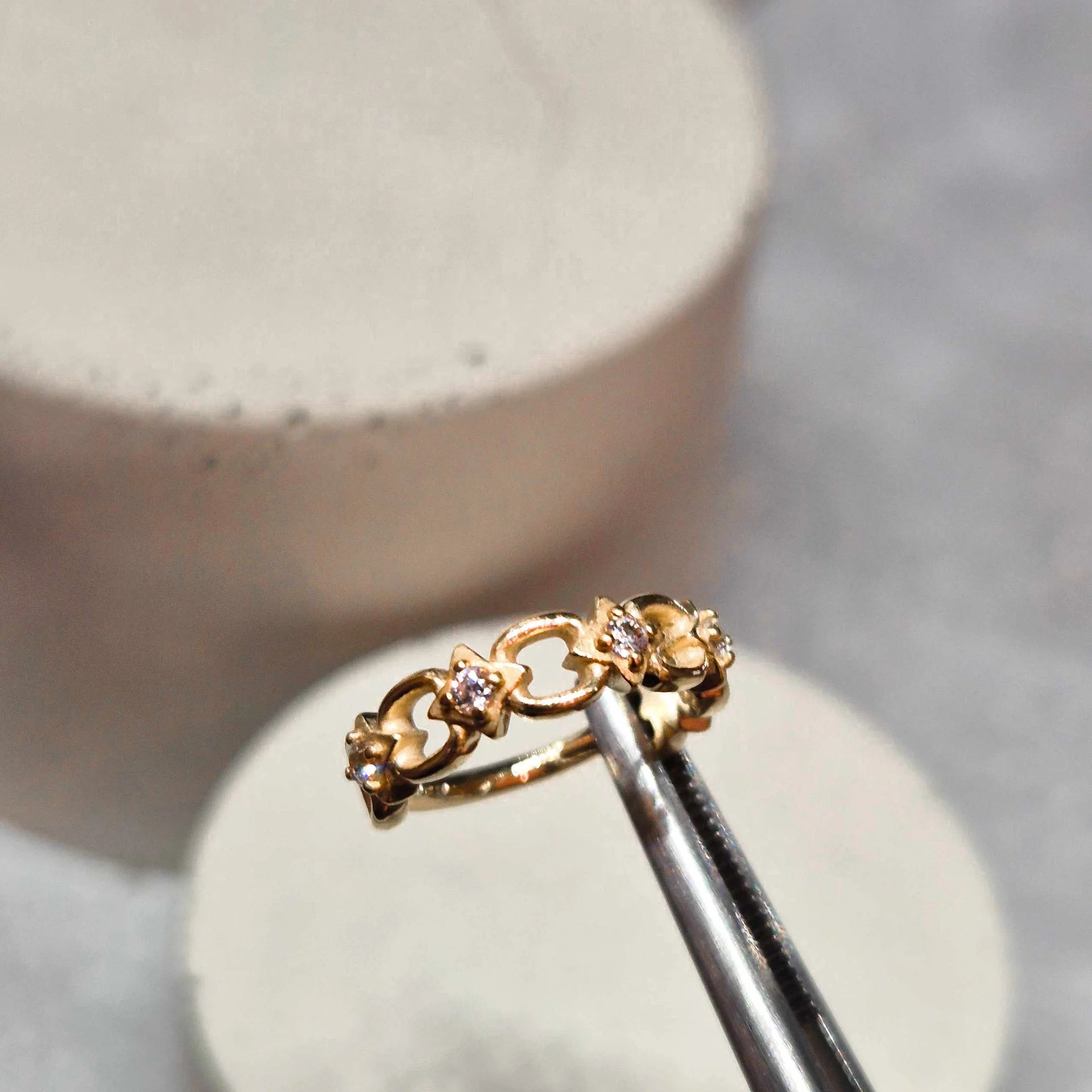 Hinged segment ring 13