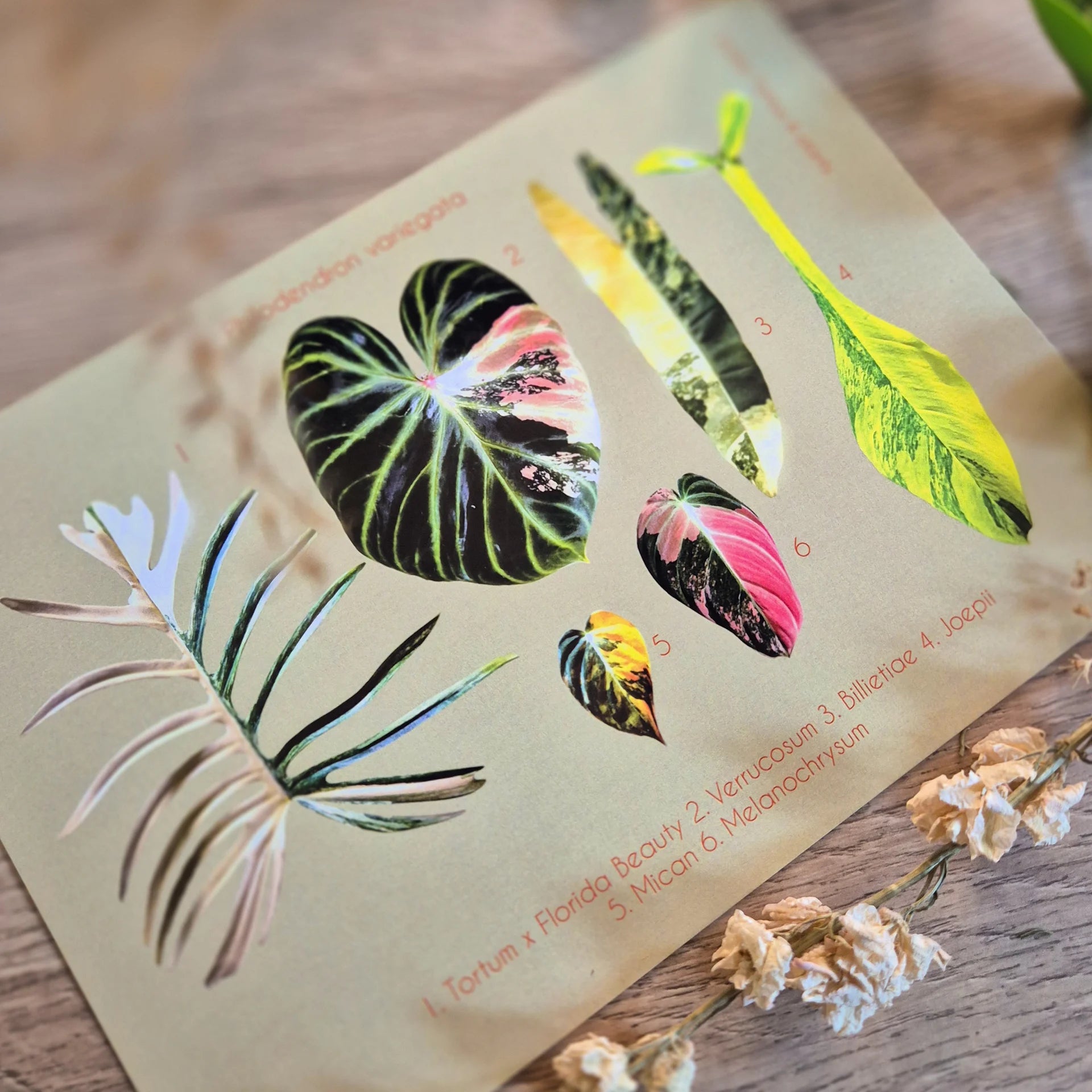 Botanical prints 148X210mm