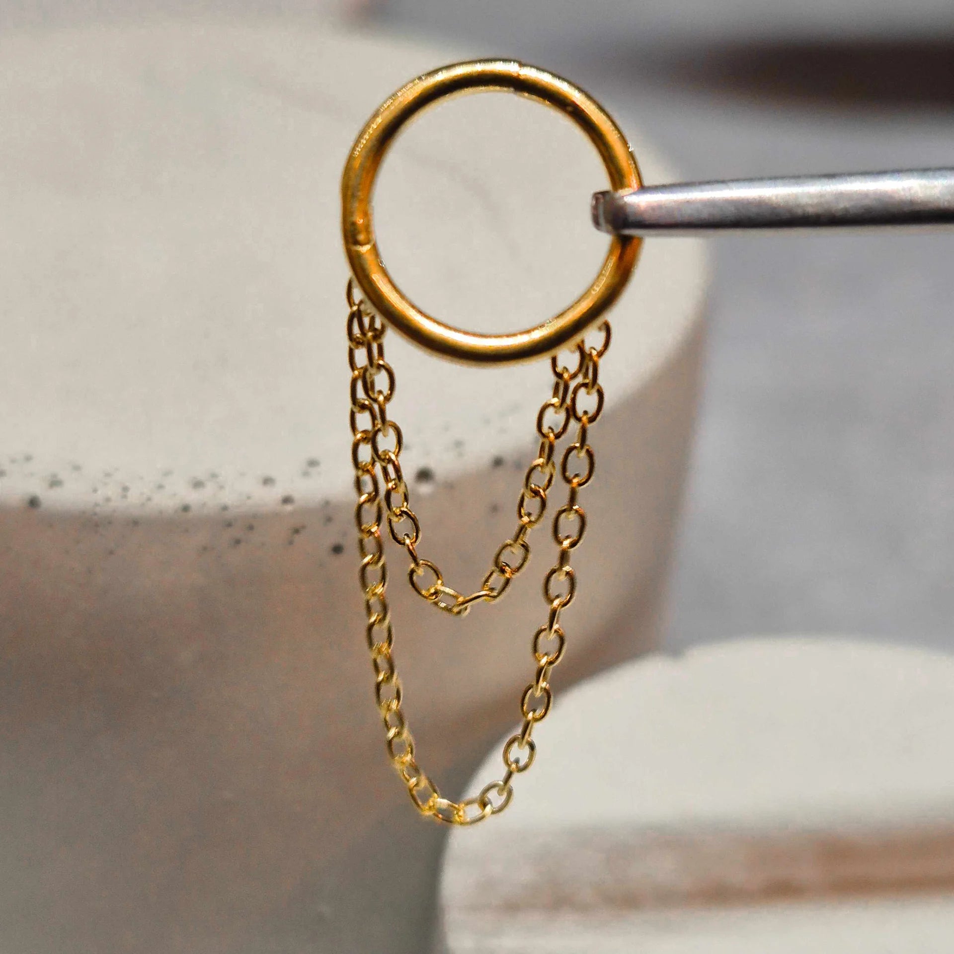 Hinged segment ring 20