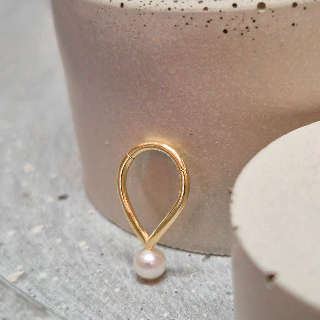 Hinged segment ring 17