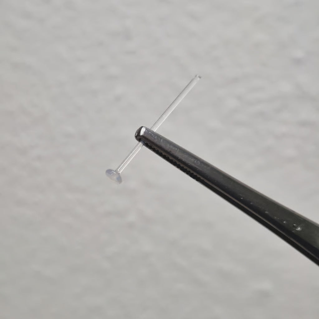 transparent labret