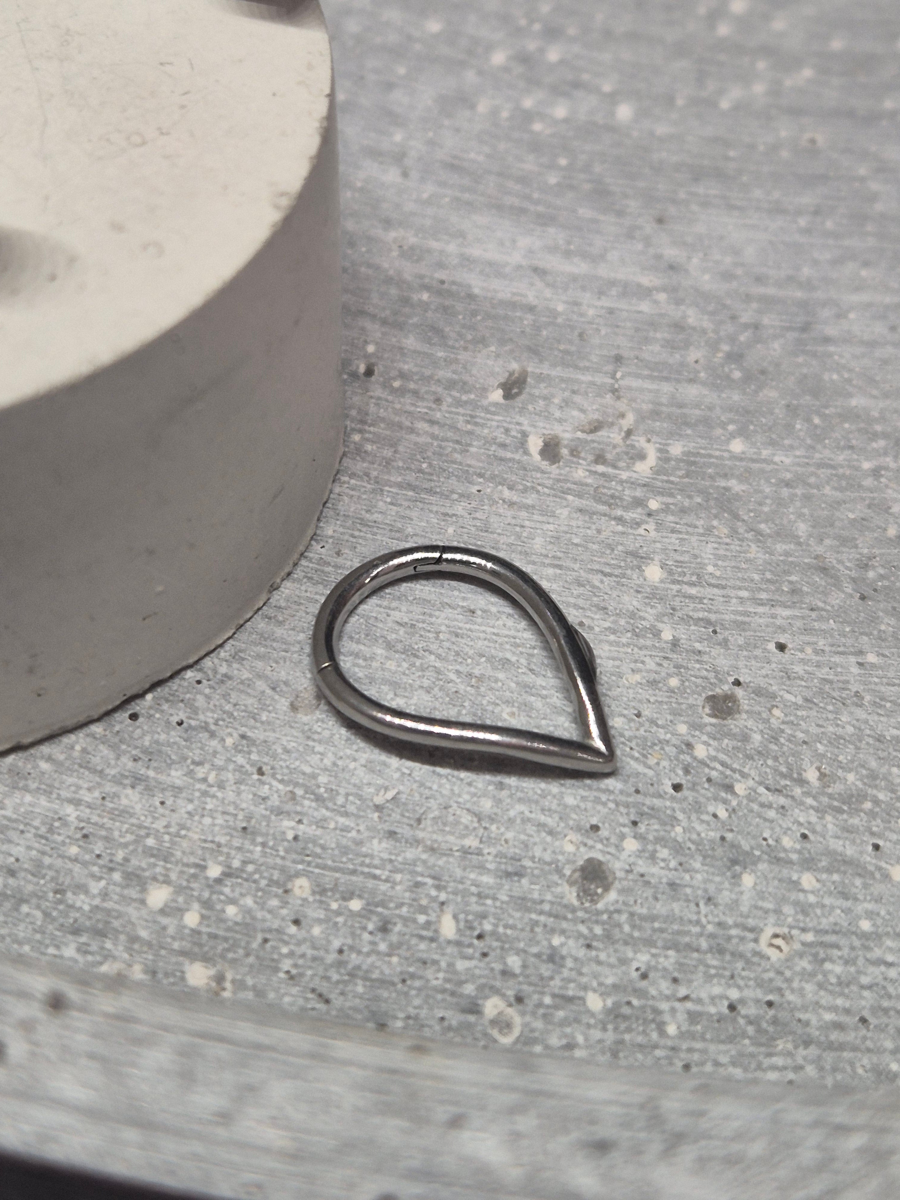 Hinged segment ring 19