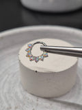 Hinged segment ring 32