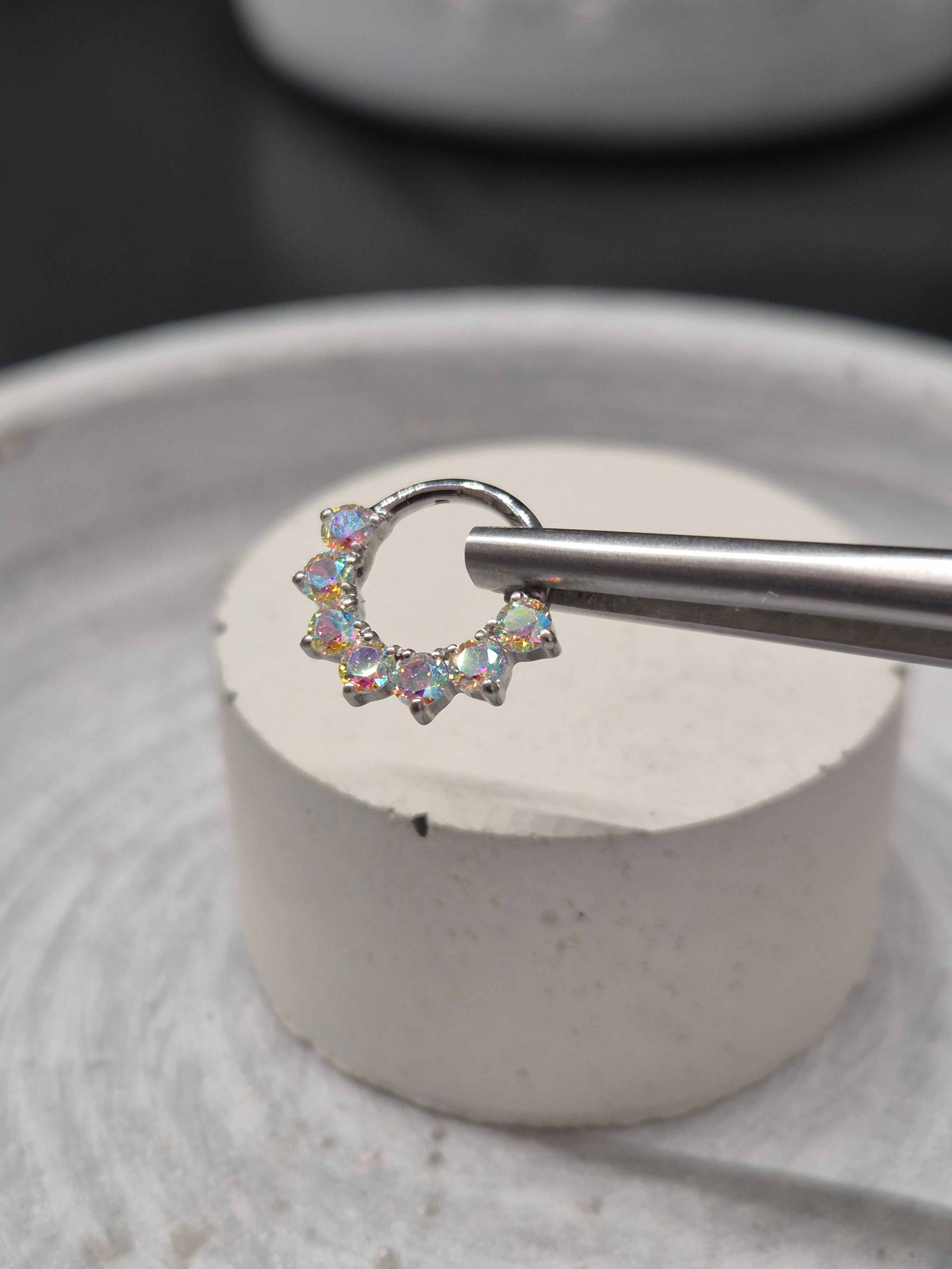 Hinged segment ring 32