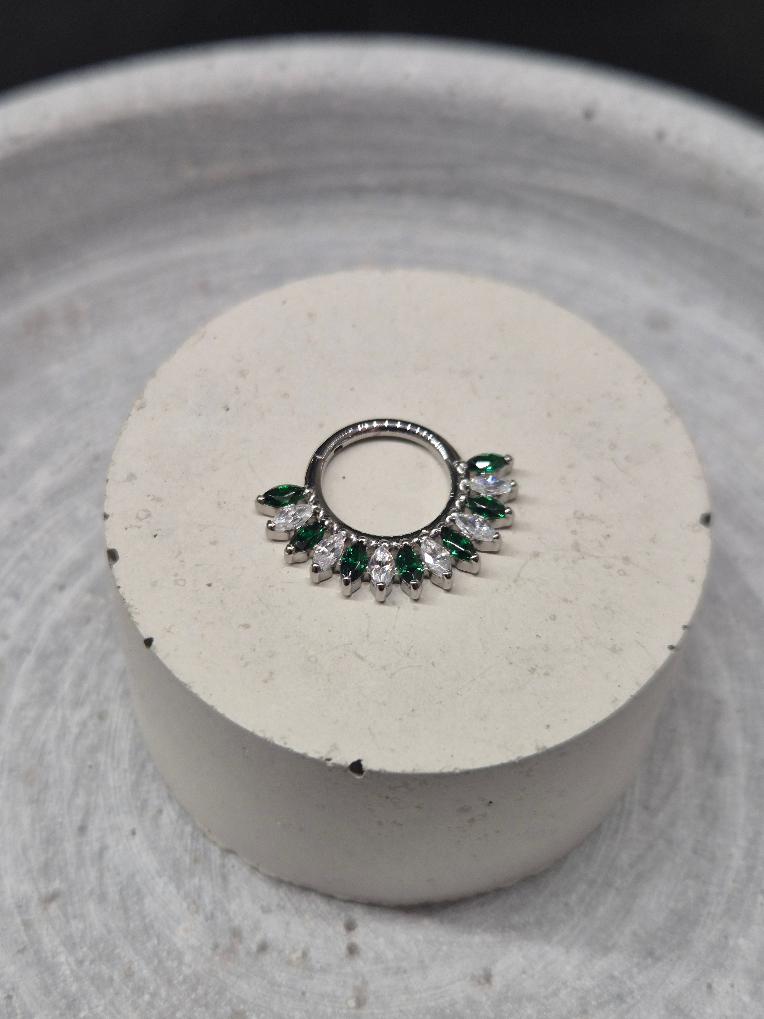 Hinged segment ring 33