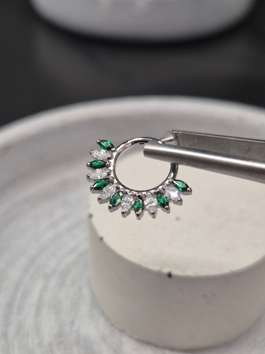 Hinged segment ring 33