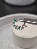 Hinged segment ring 33