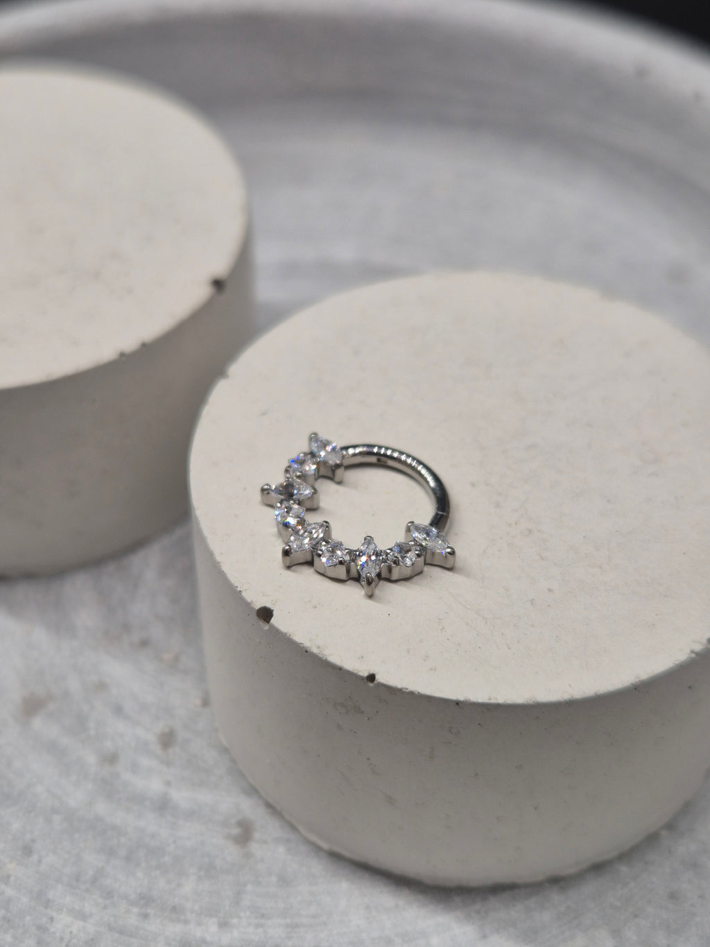 Hinged segment ring 34