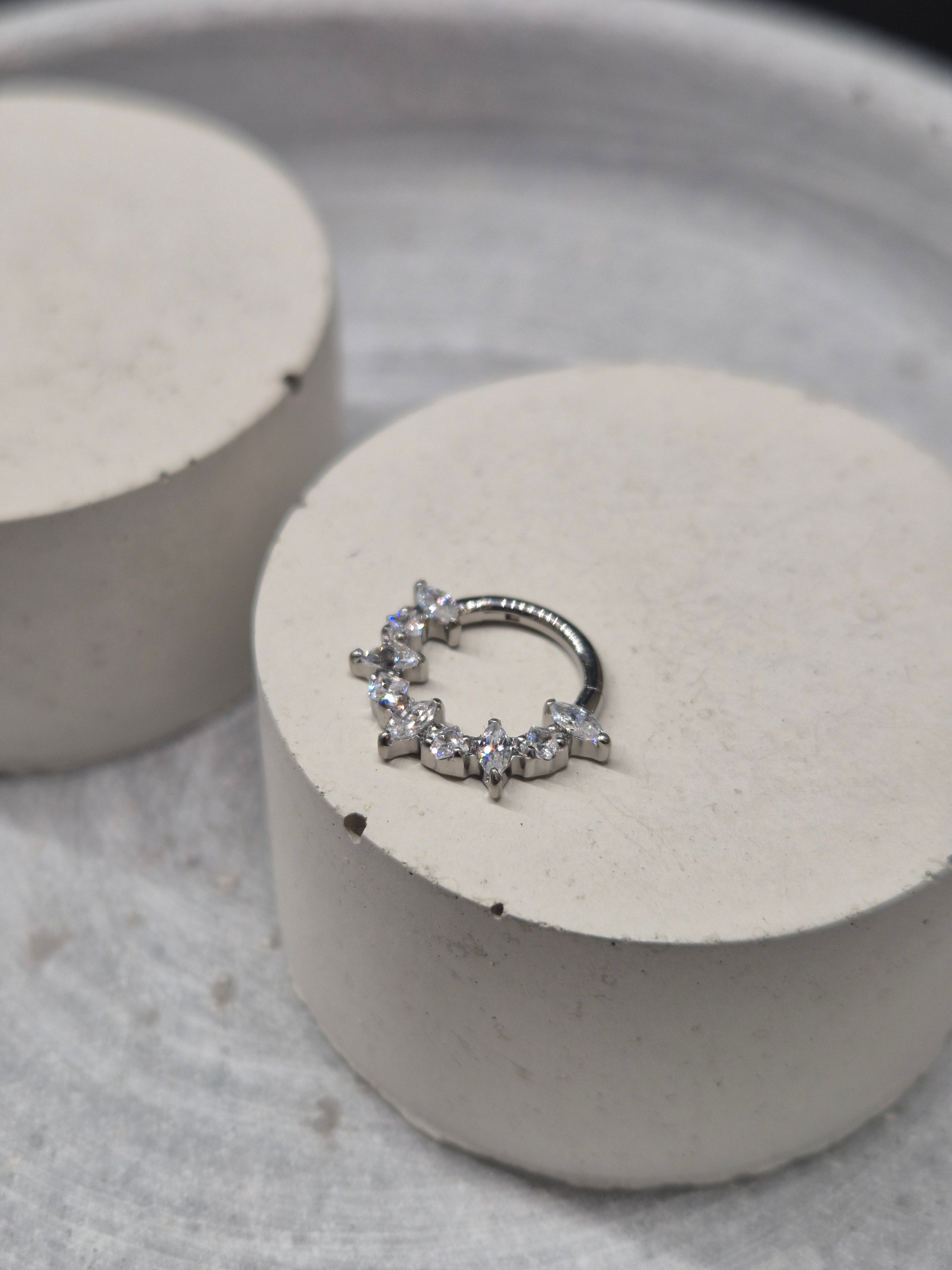 Hinged segment ring 34