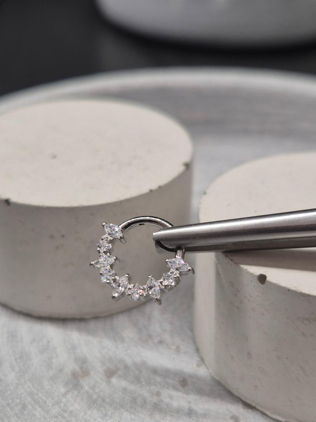 Hinged segment ring 34