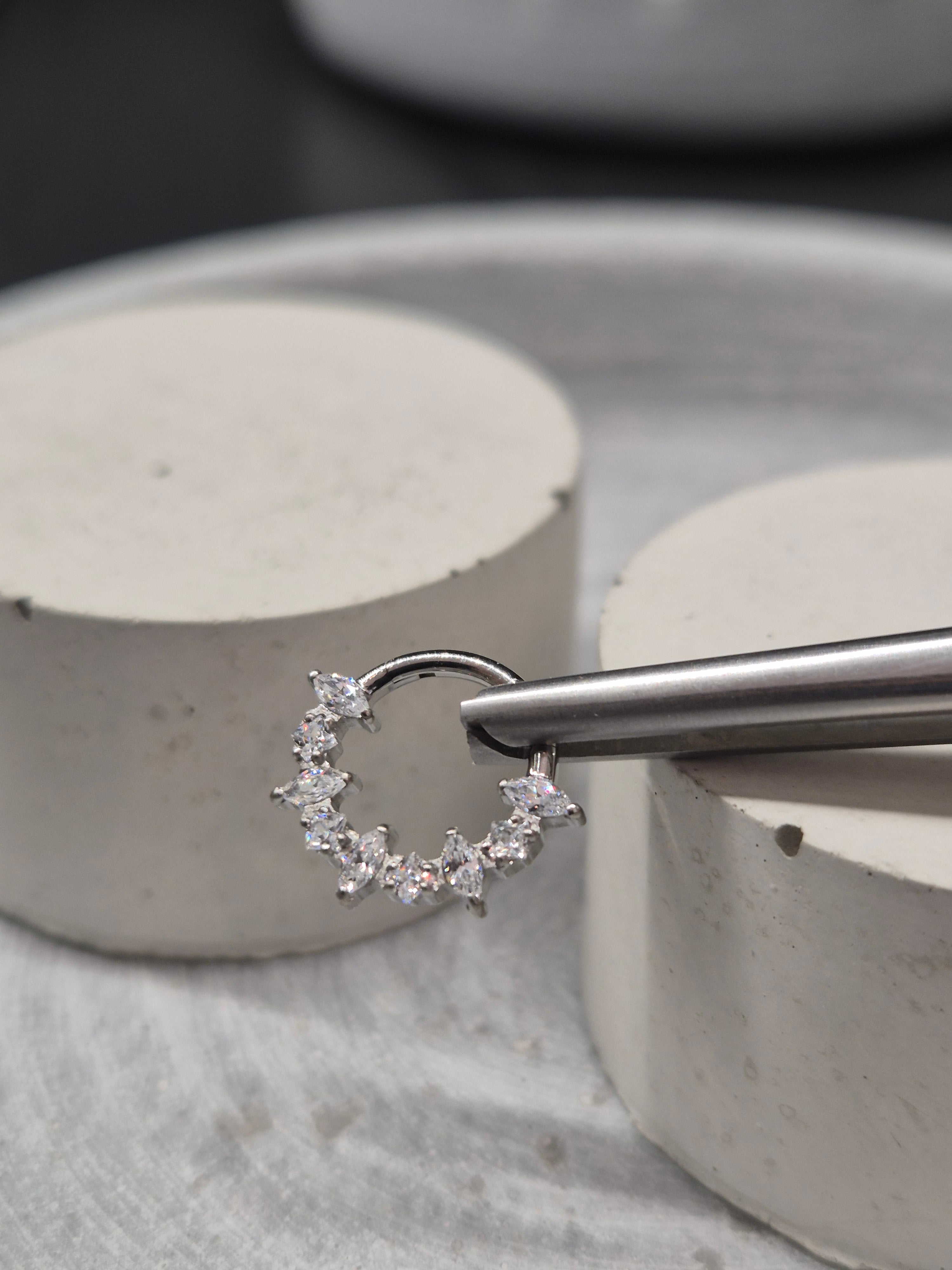 Hinged segment ring 34