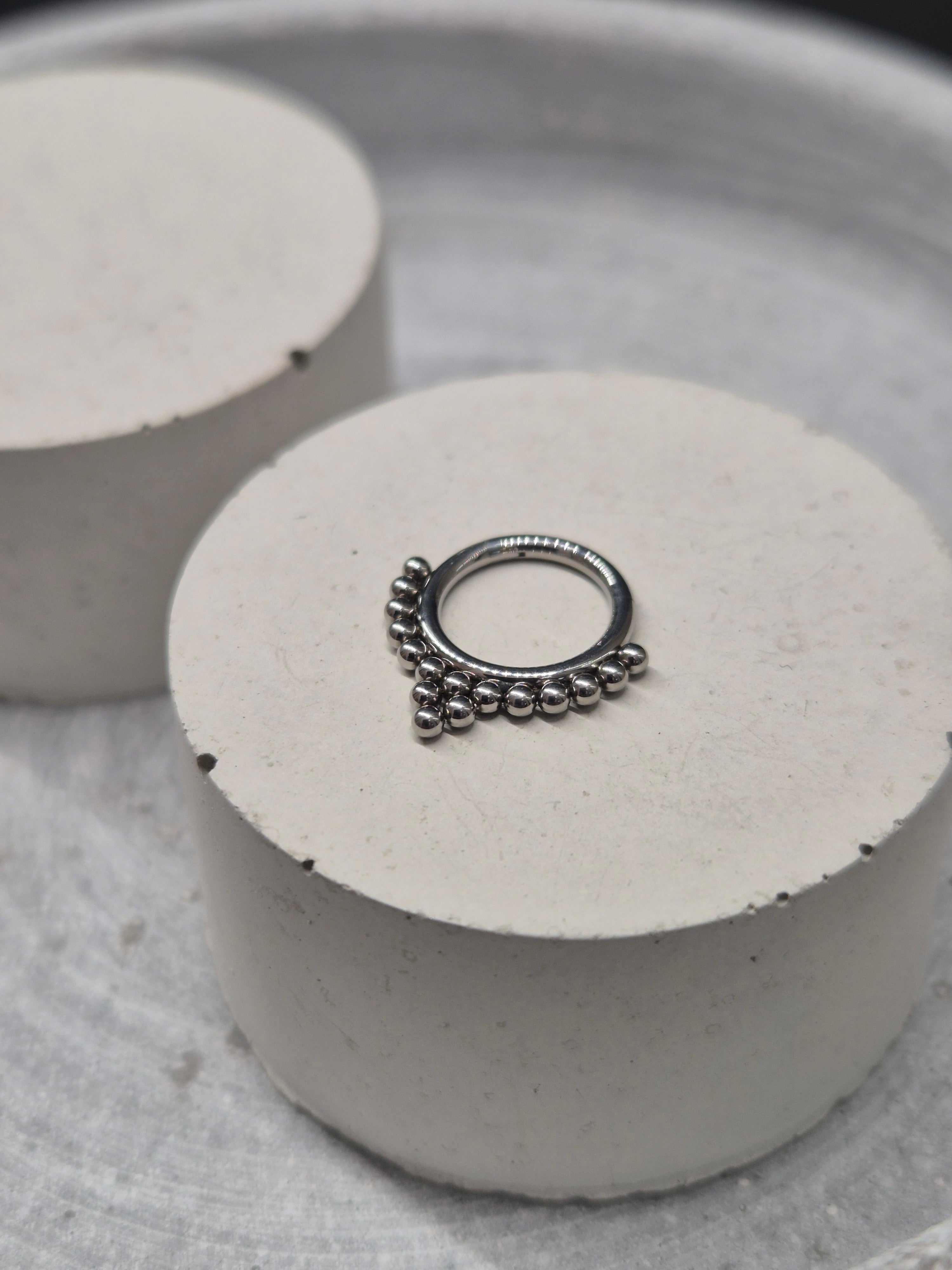 Hinged segment ring 35
