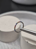 Hinged segment ring 36