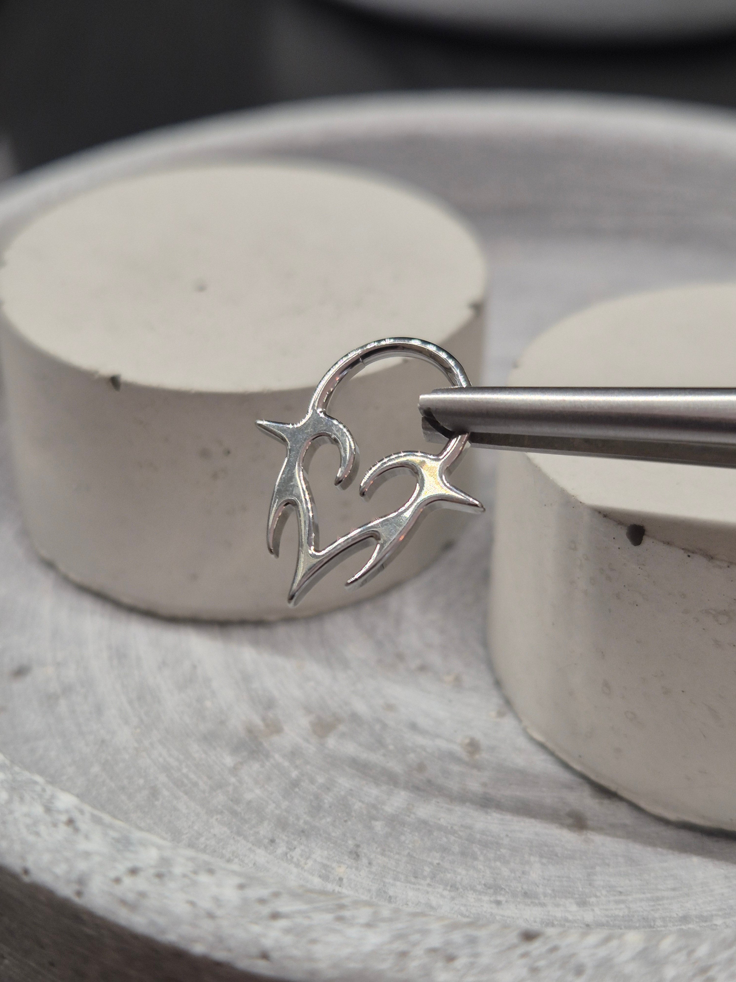 Hinged segment ring 37