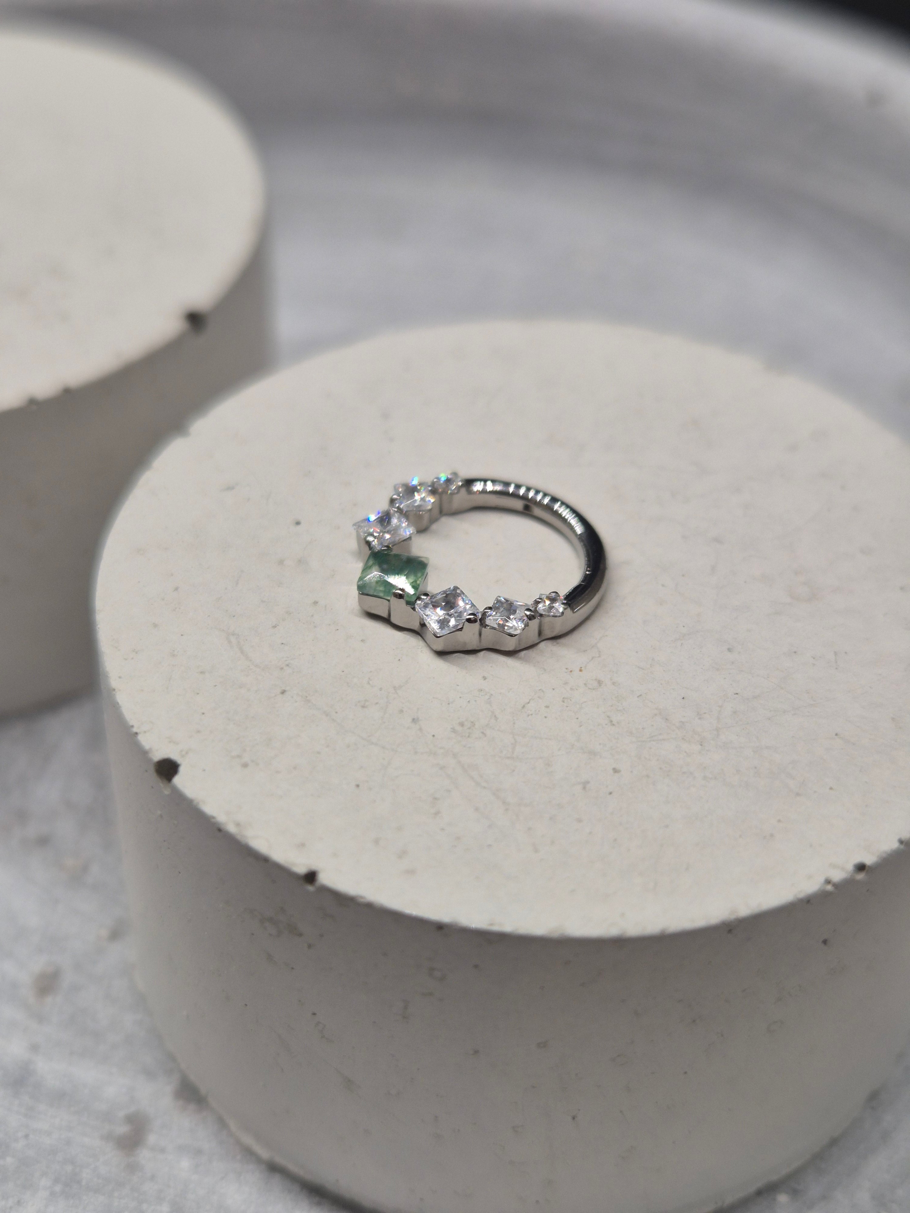 Hinged segment ring 38