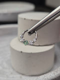 Hinged segment ring 38