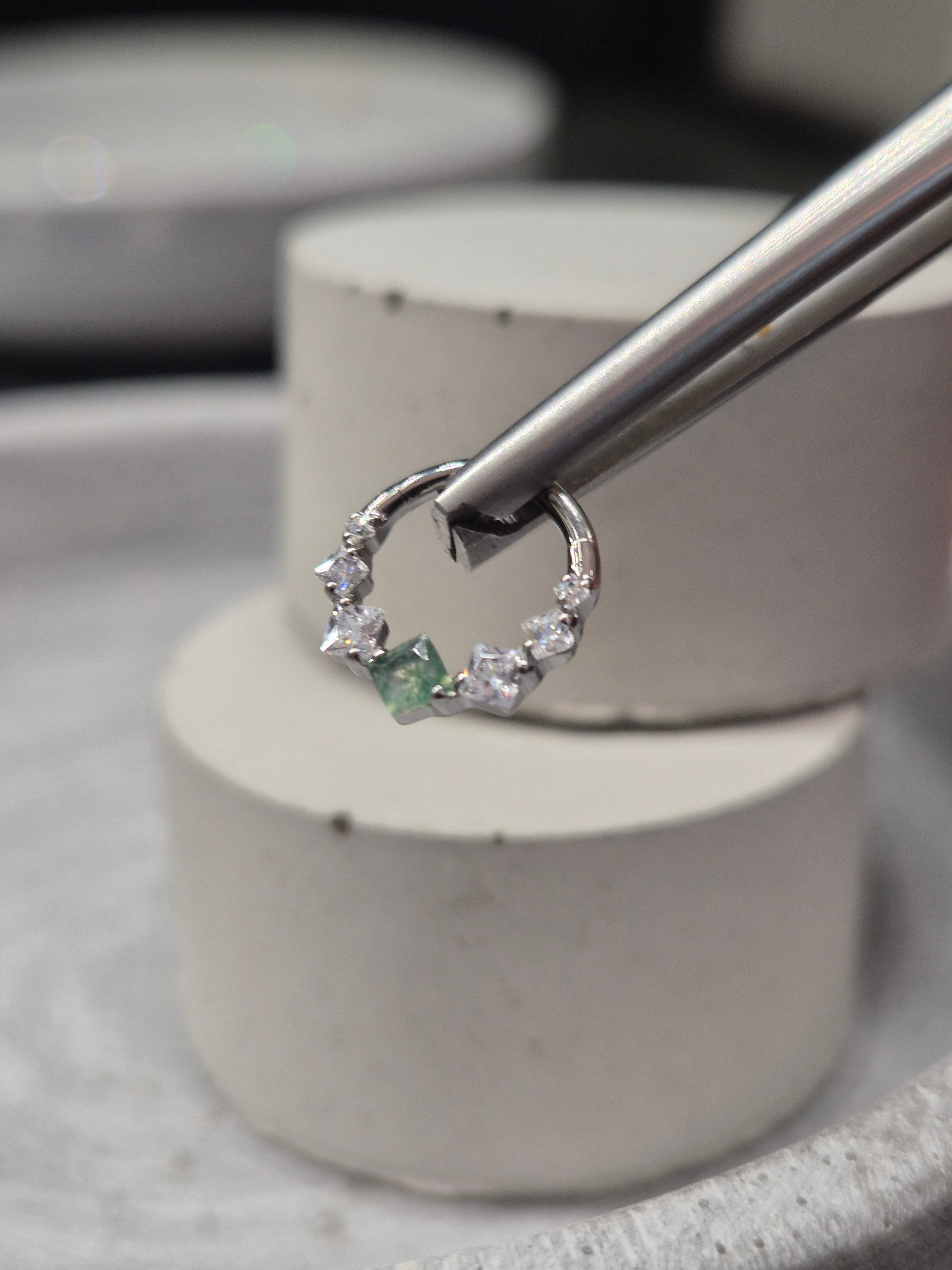 Hinged segment ring 38