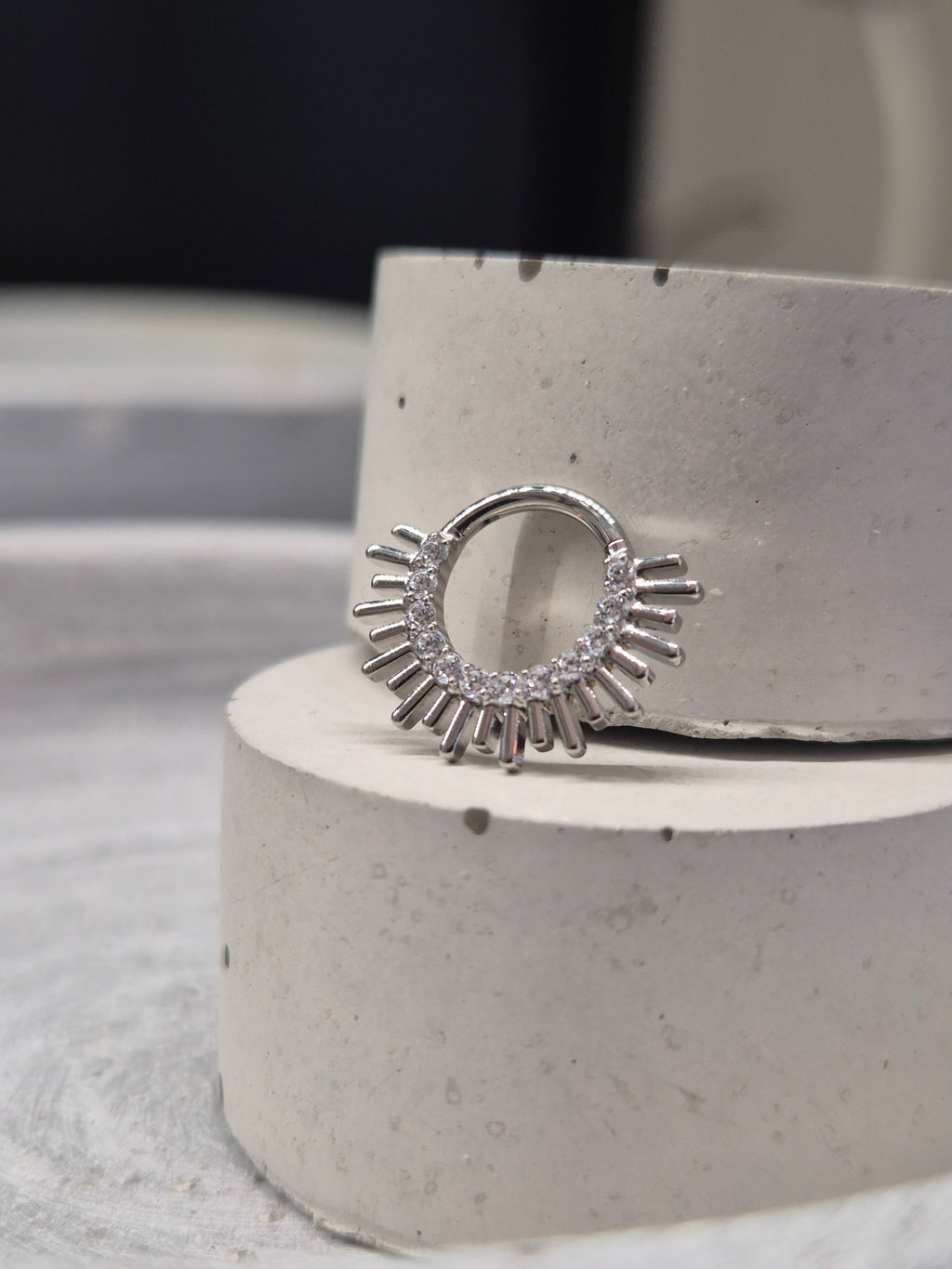 Hinged segment ring 39