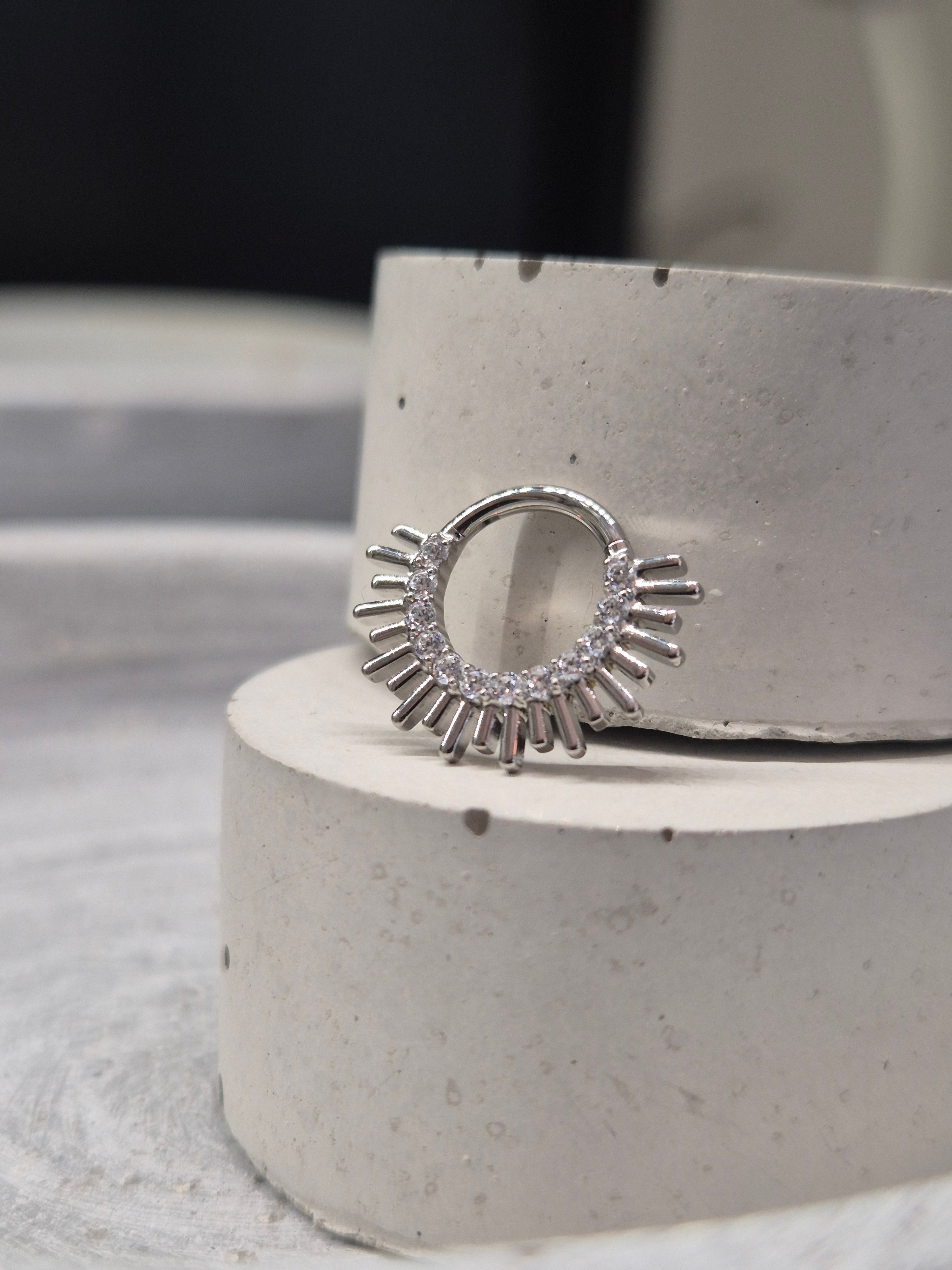 Hinged segment ring 39