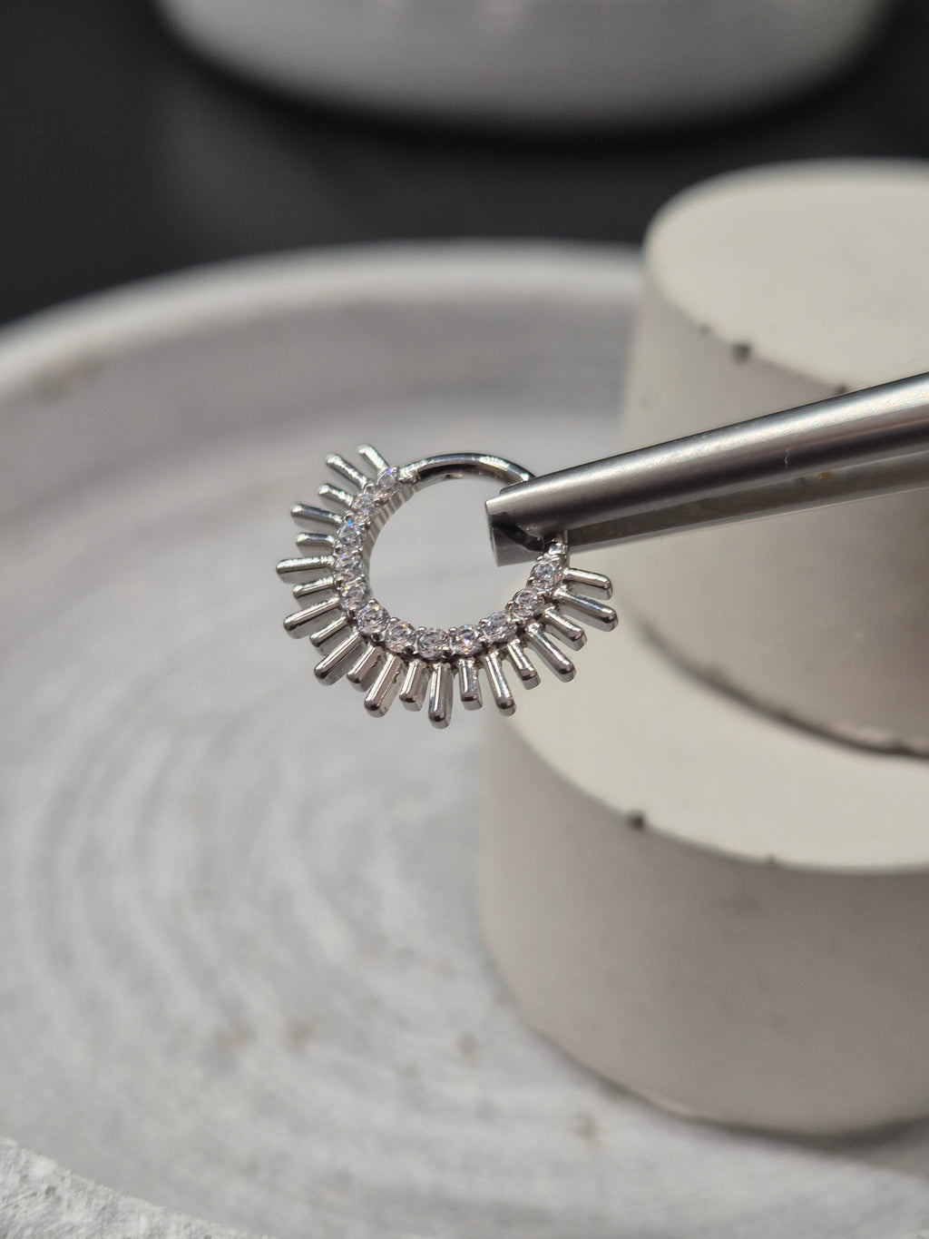Hinged segment ring 39