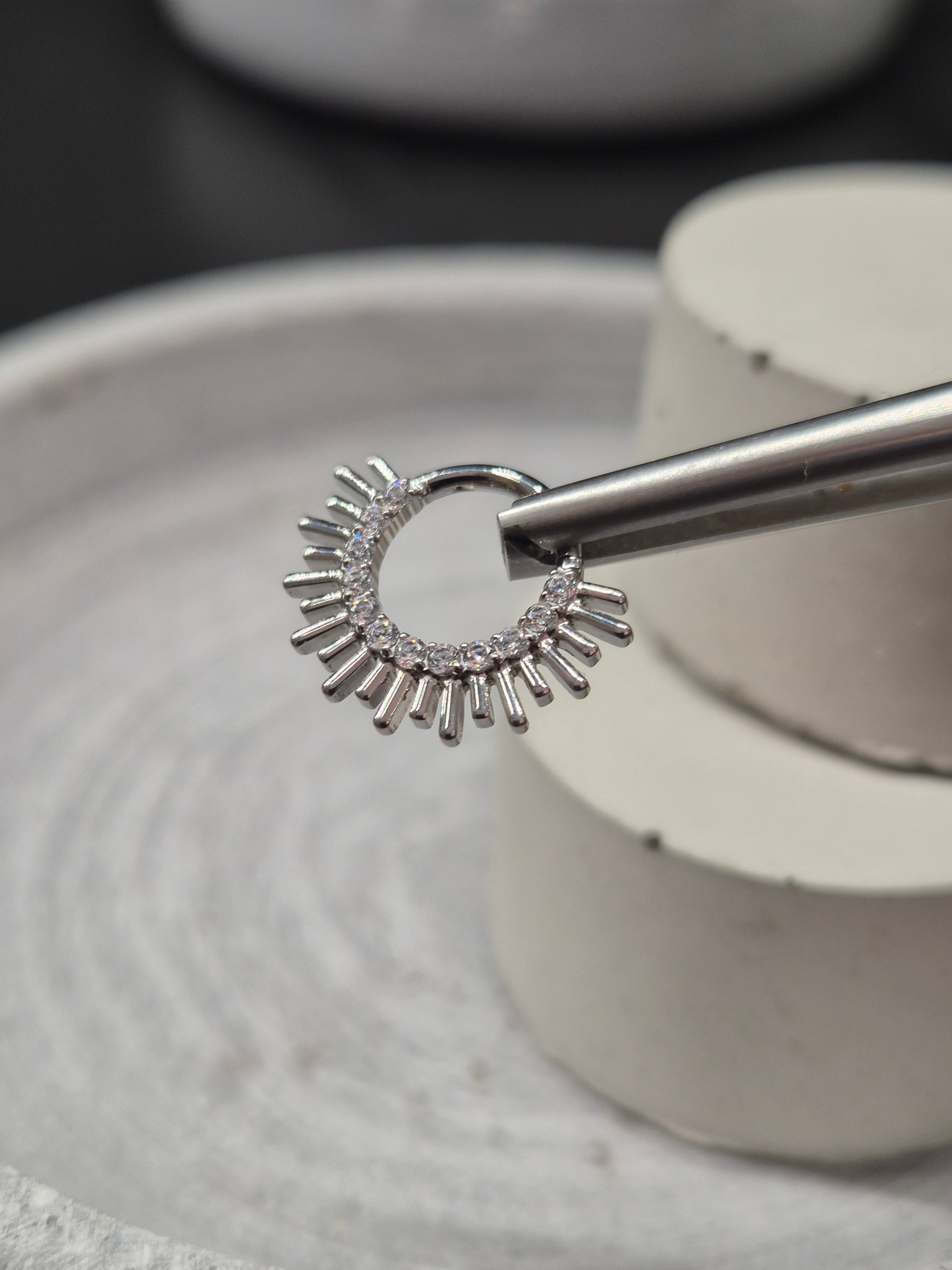 Hinged segment ring 39