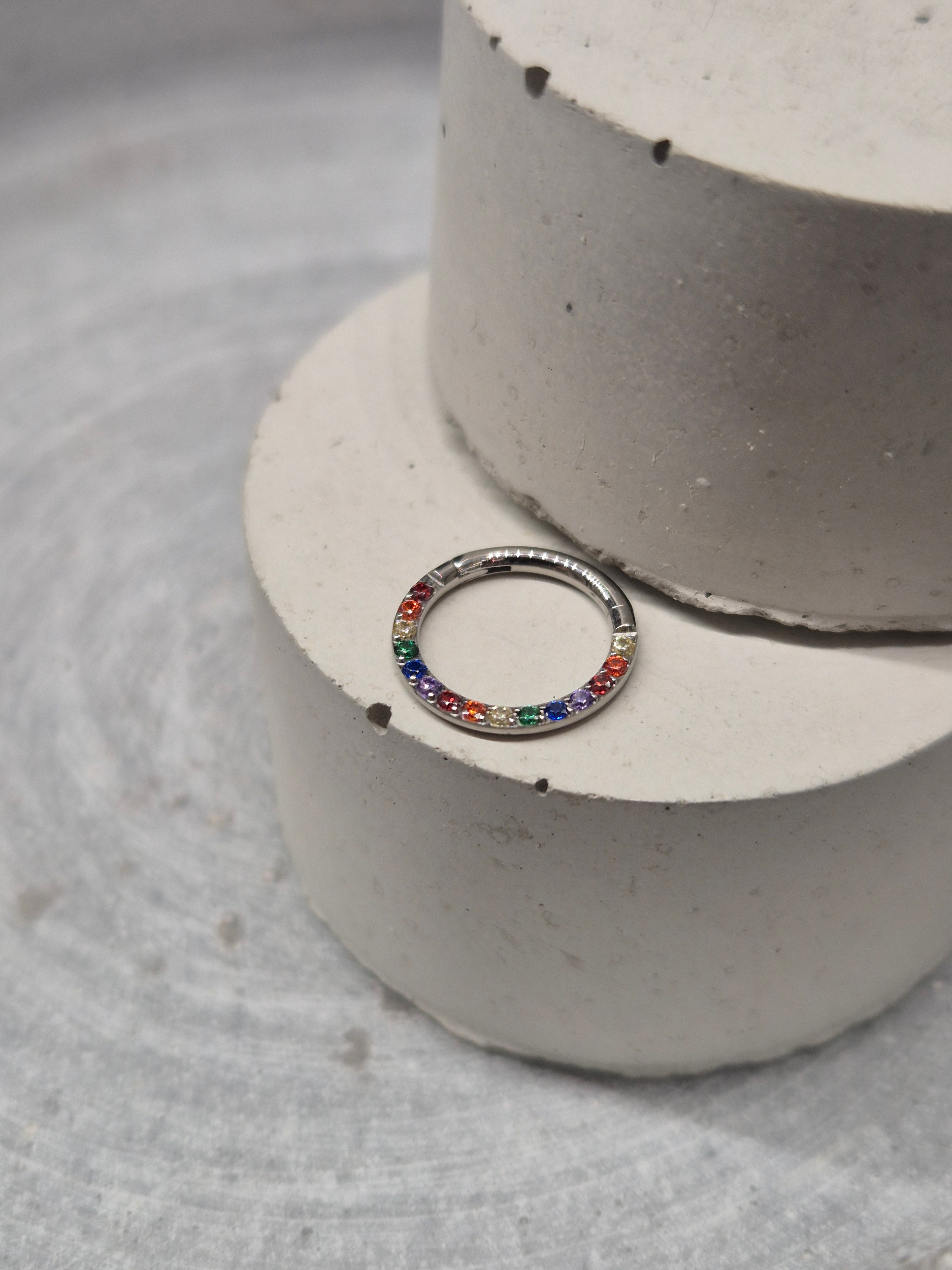 Hinged segment ring 40