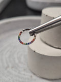 Hinged segment ring 40