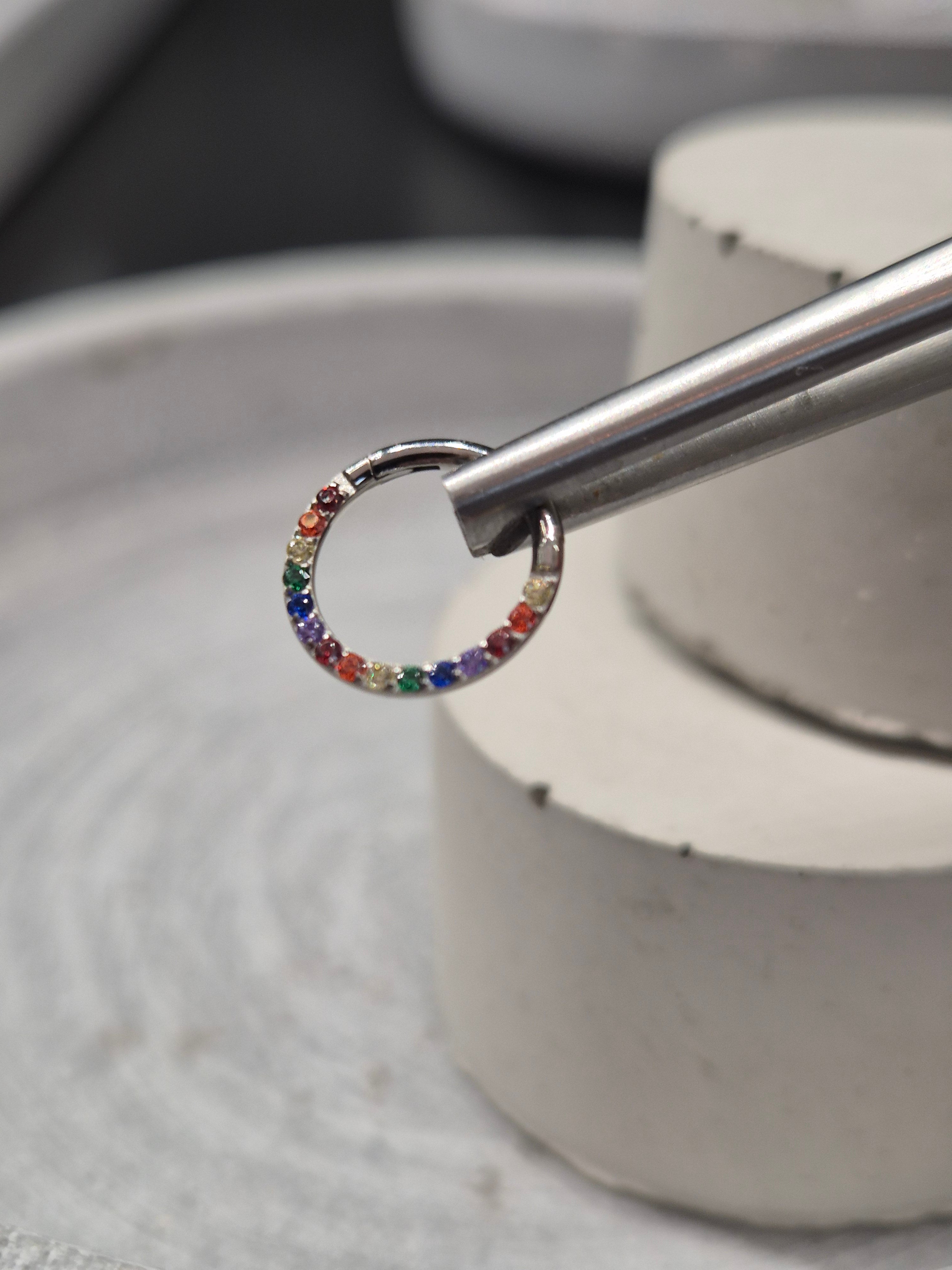 Hinged segment ring 40