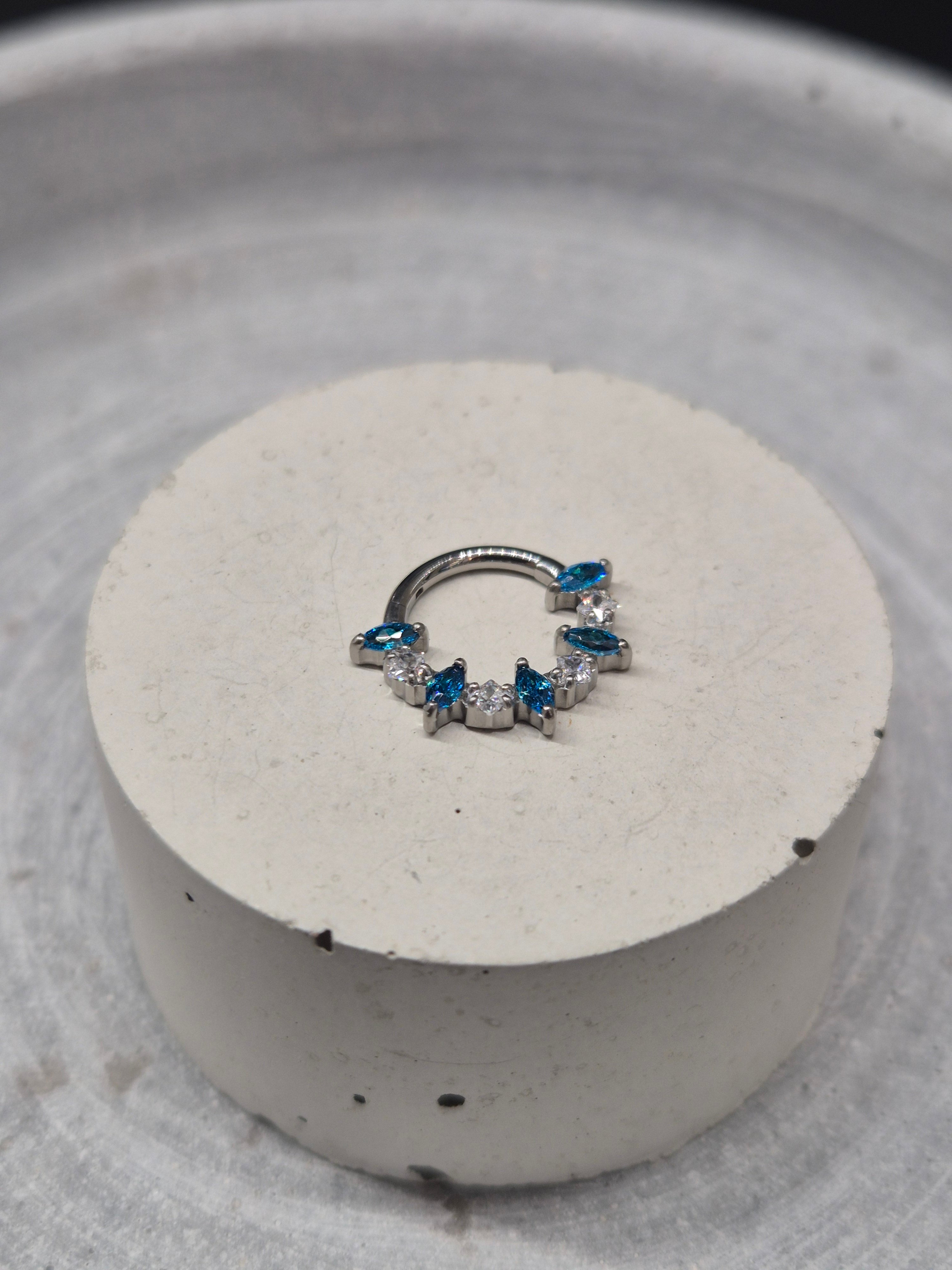 Hinged segment ring 41