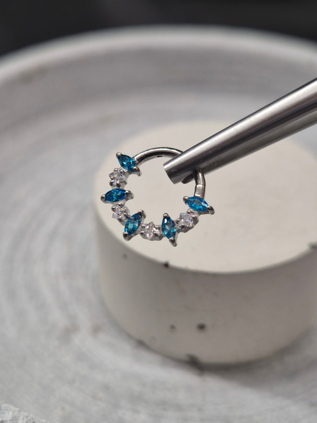 Hinged segment ring 41