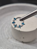 Hinged segment ring 41