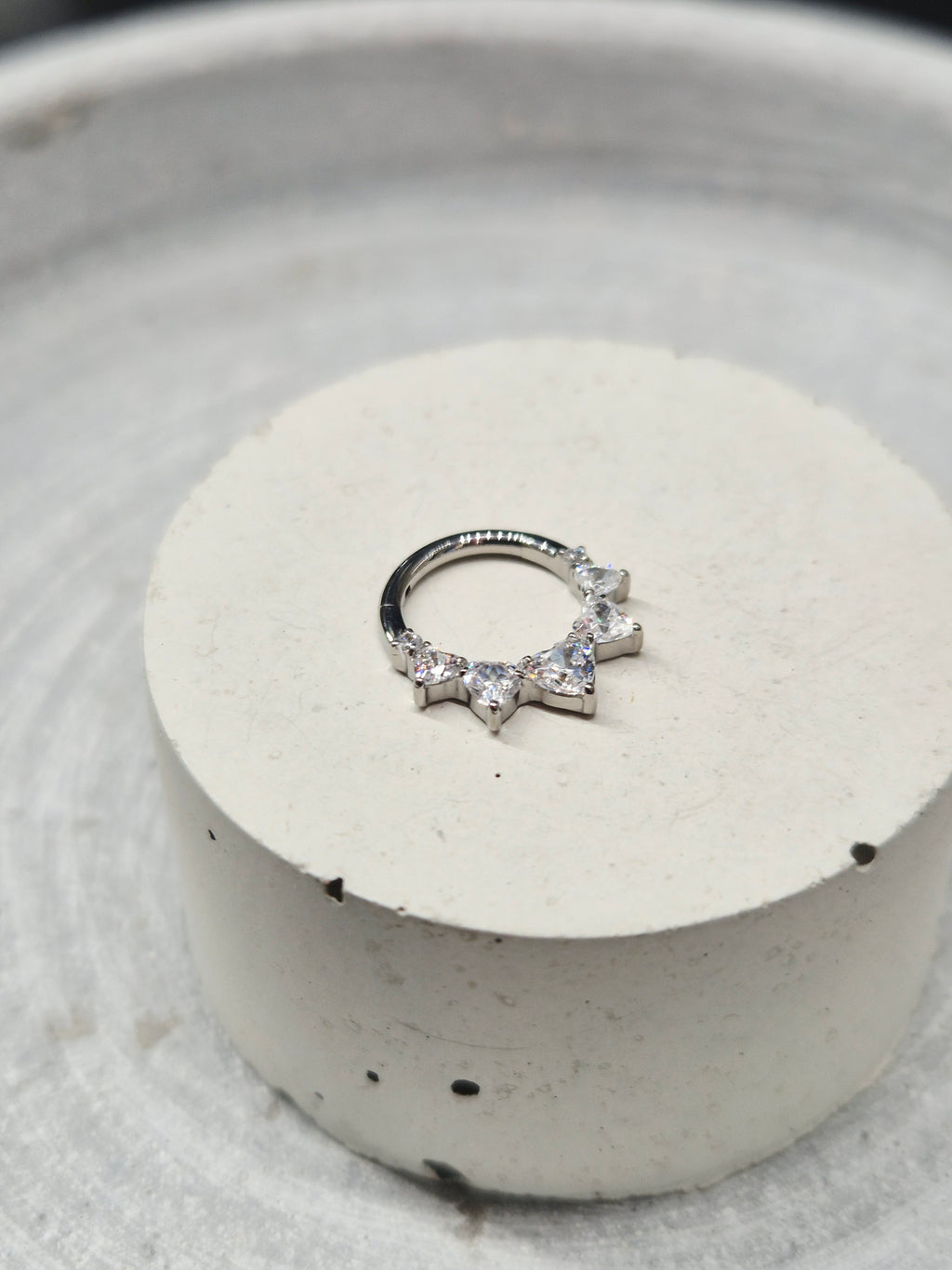 Hinged segment ring 42