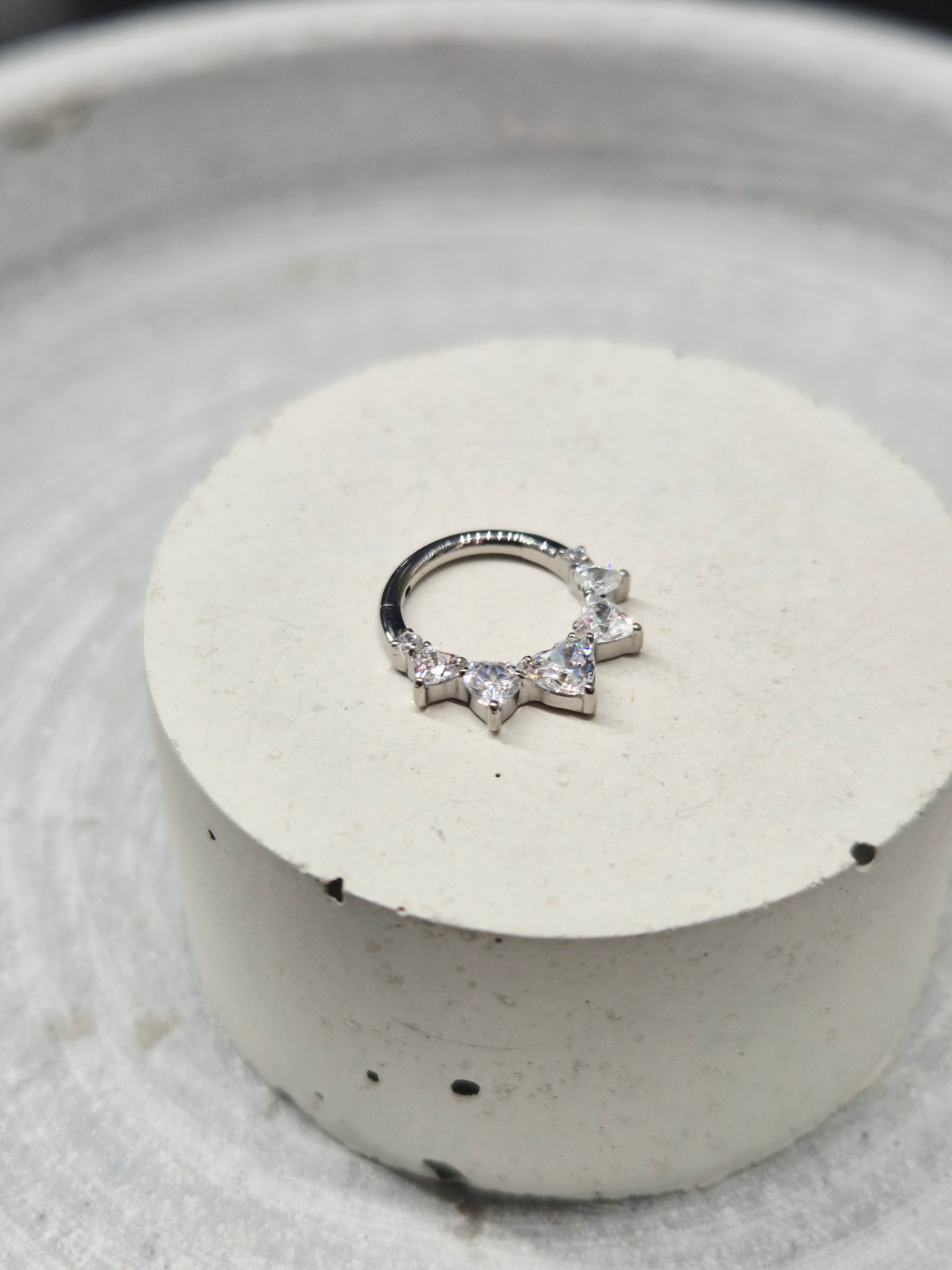 Hinged segment ring 42
