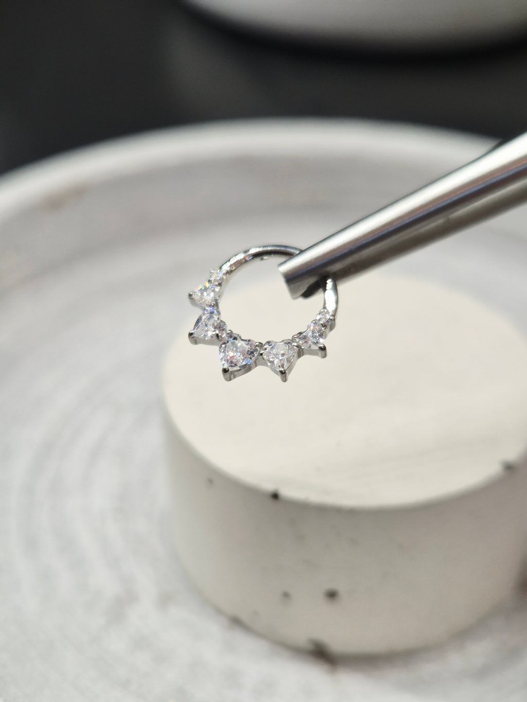 Hinged segment ring 42