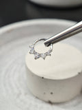 Hinged segment ring 42