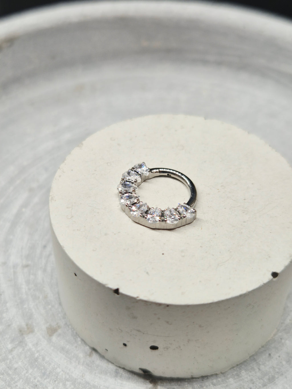 Hinged segment ring 43