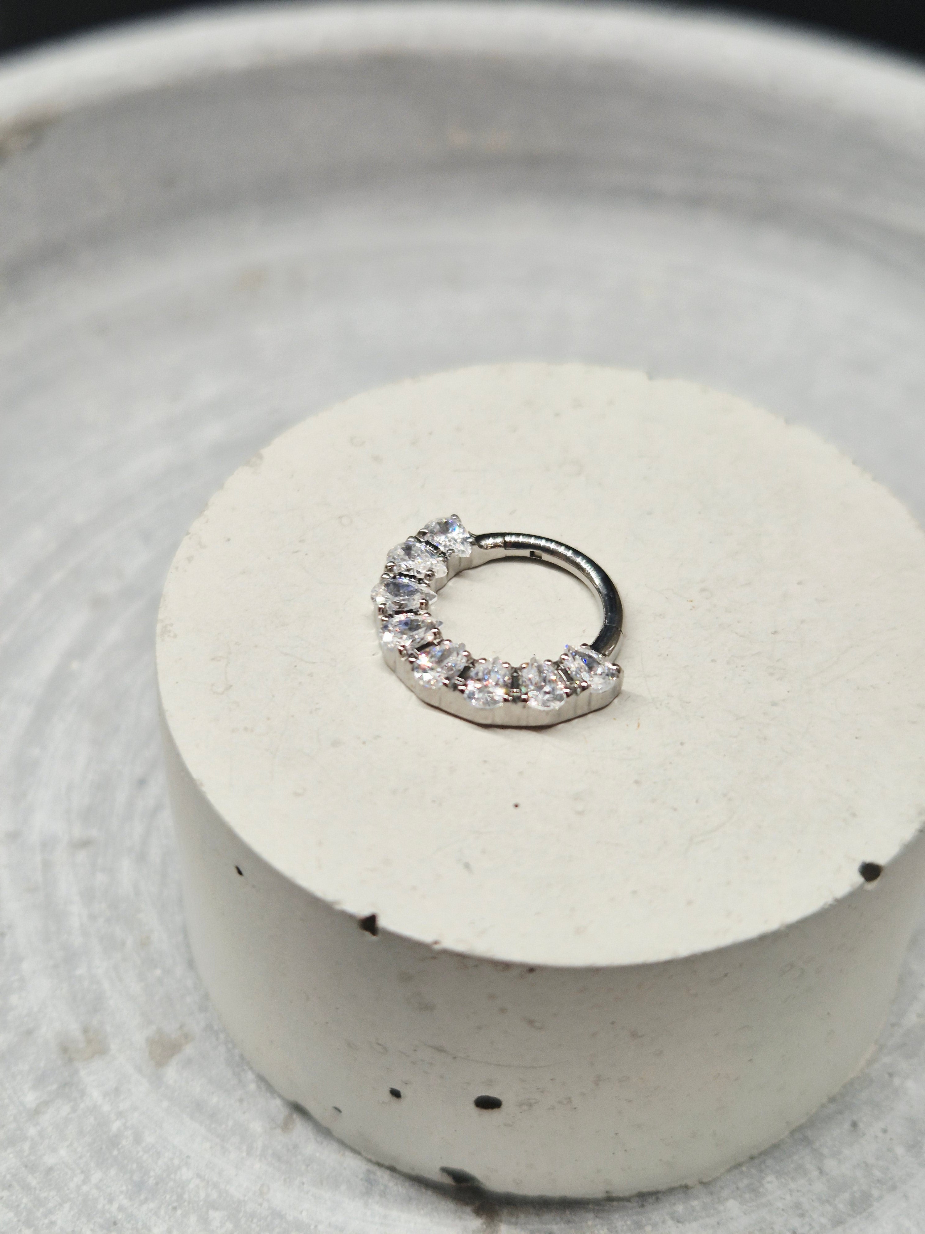 Hinged segment ring 43
