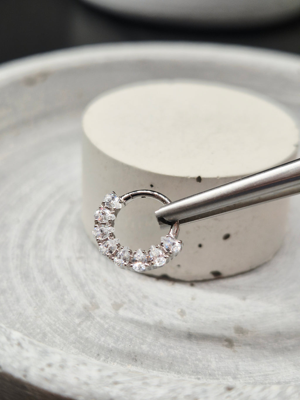 Hinged segment ring 43