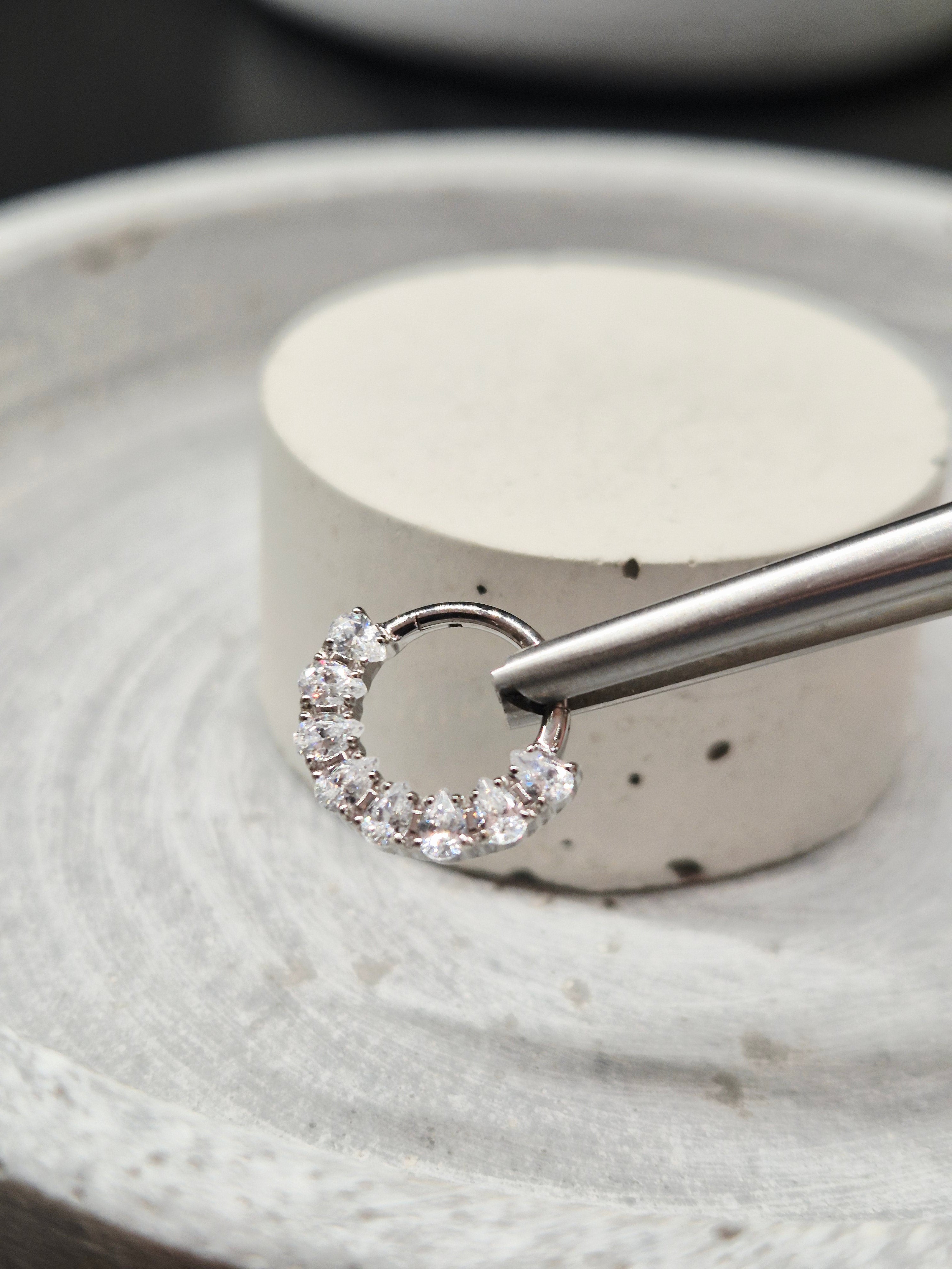 Hinged segment ring 43