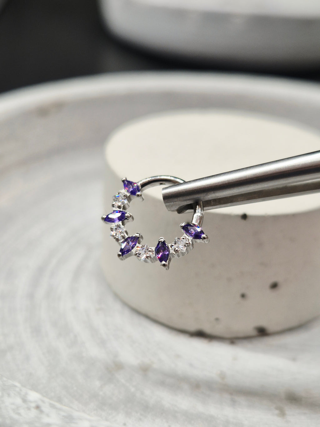 Hinged segment ring 44