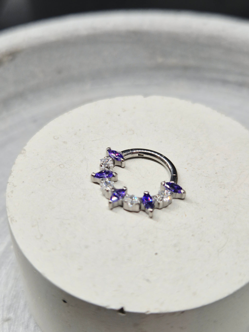 Hinged segment ring 44