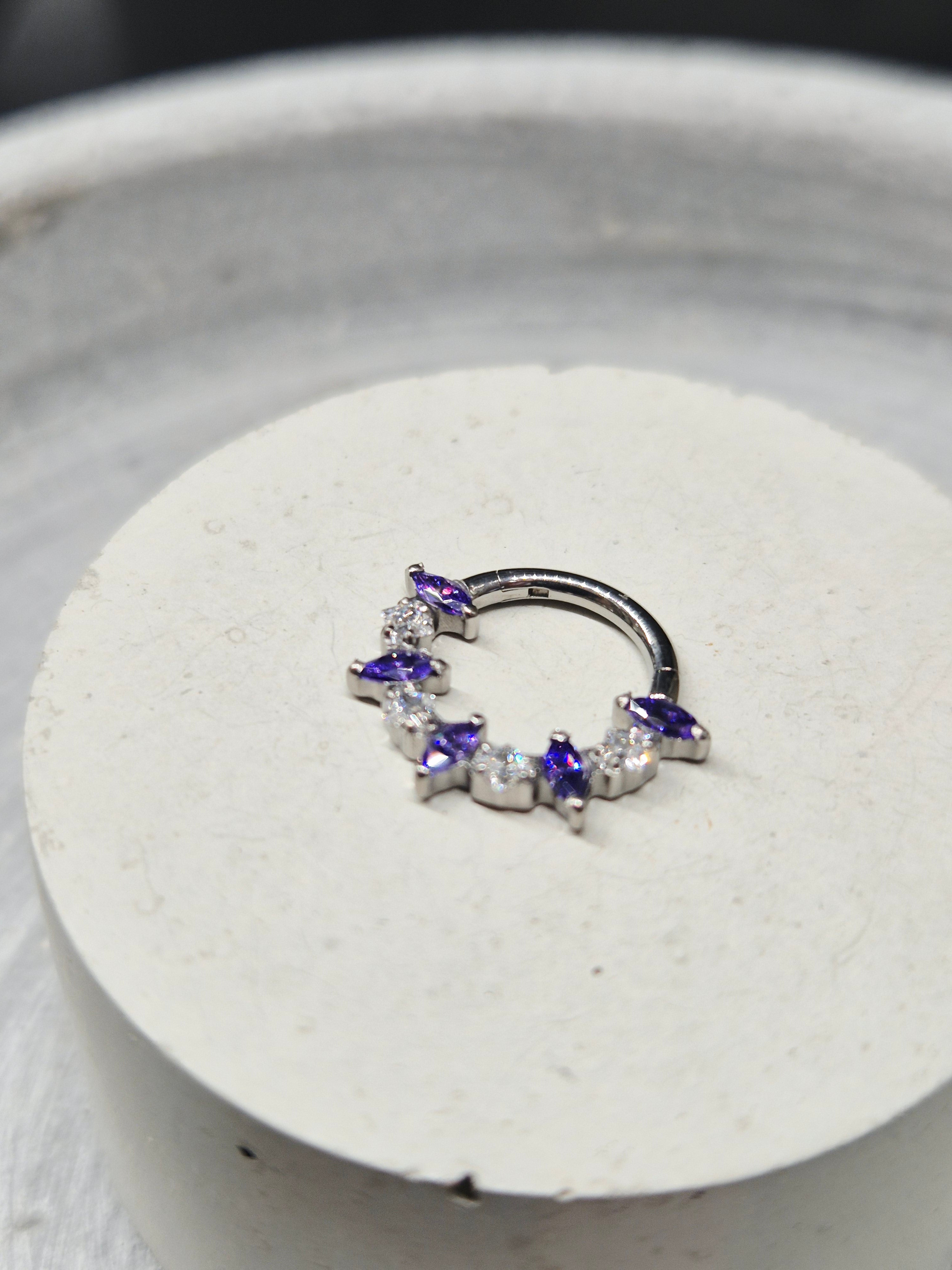 Hinged segment ring 44