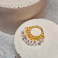 Hinged segment ring 22