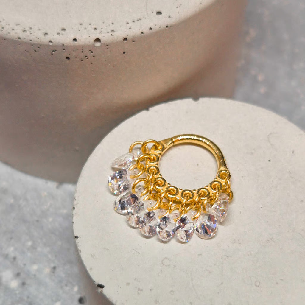 Hinged segment ring 22