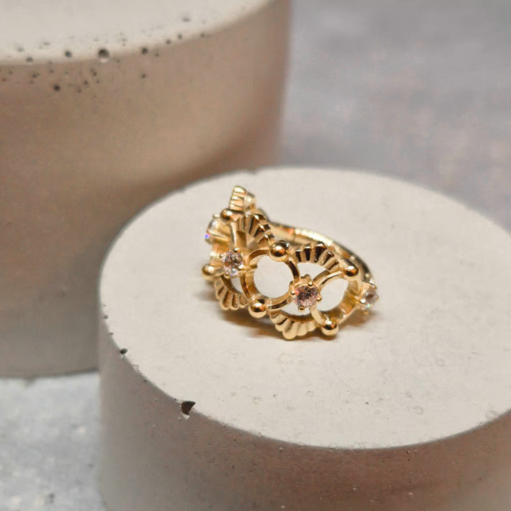 Hinged segment ring 13