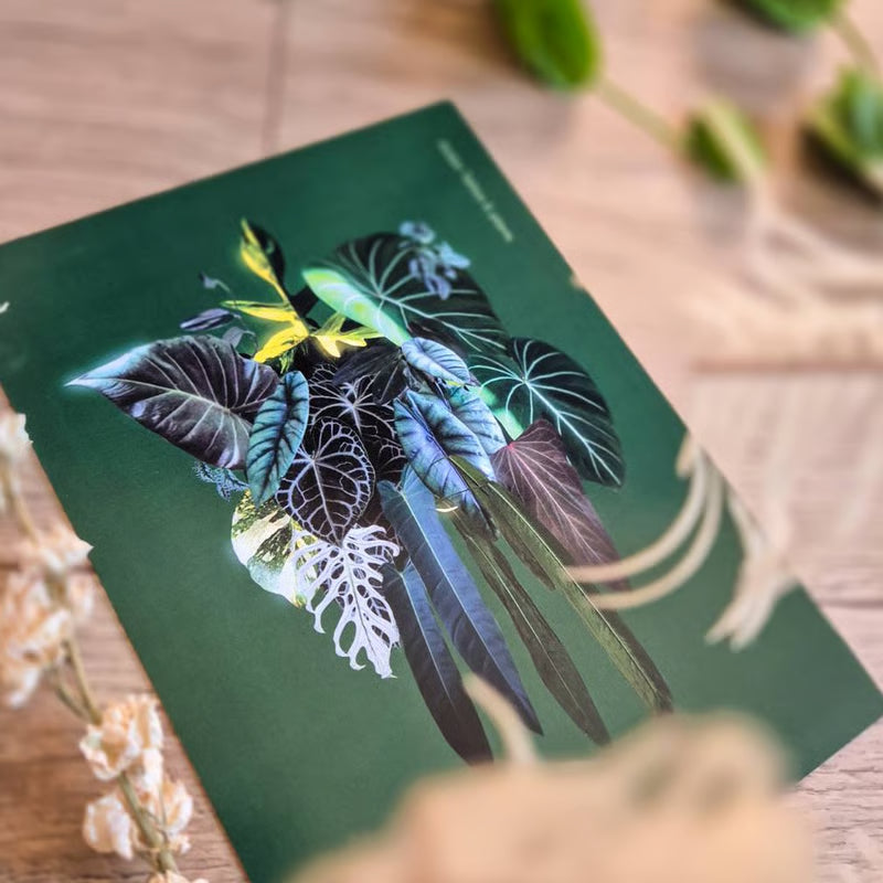 Botanical prints 148X210mm