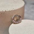 Hinged segment ring 26