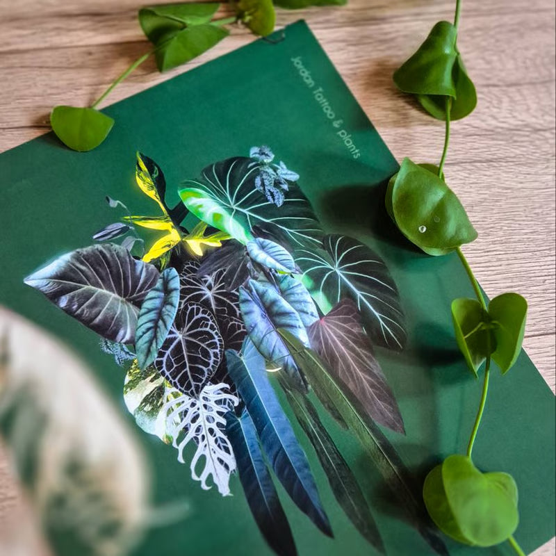 Botanical prints 24x30cm